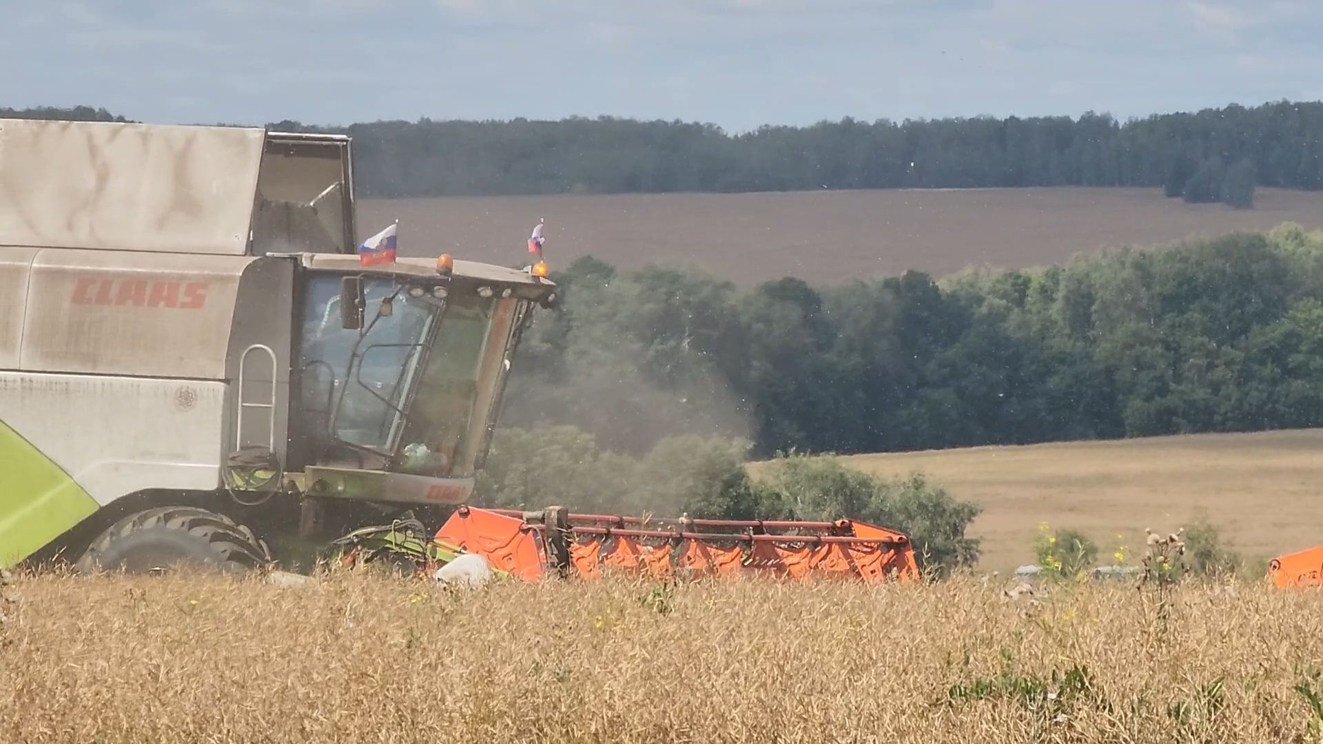Зарайск, Сельское хозяйство, Уборочная кампания, Туламашагро, Уборка рапса в Зарайске,