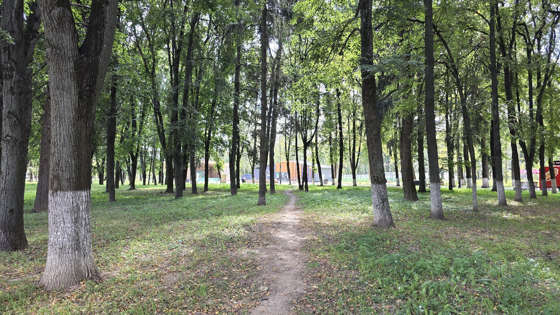 Коломна, парк мира, пешеходные дорожки,