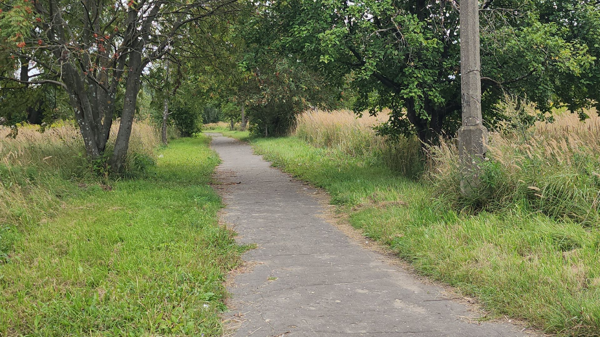 павловский посад, благоустройство , снос,