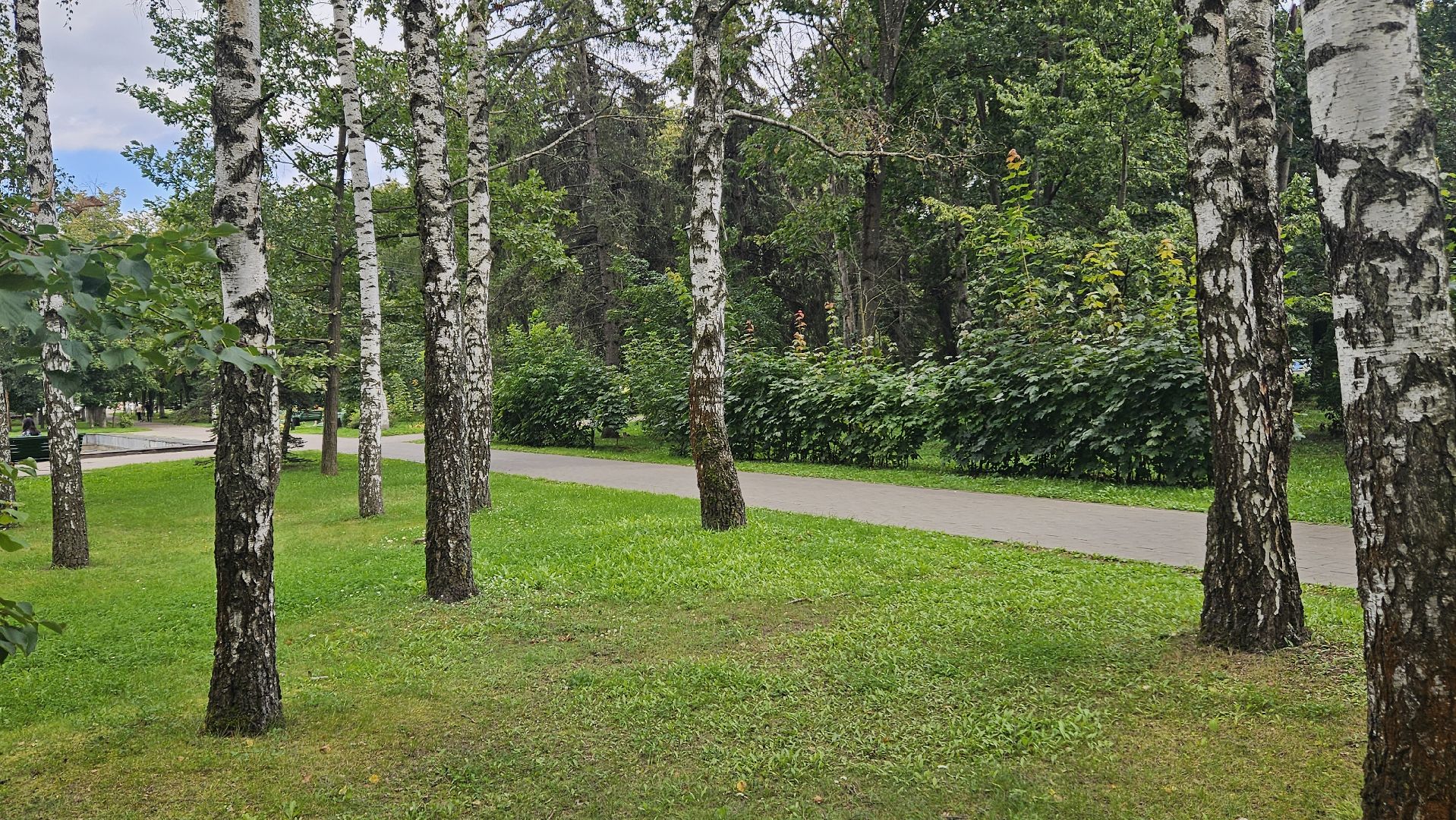 благоустройство,  сквер 28 квартал, жуковский,