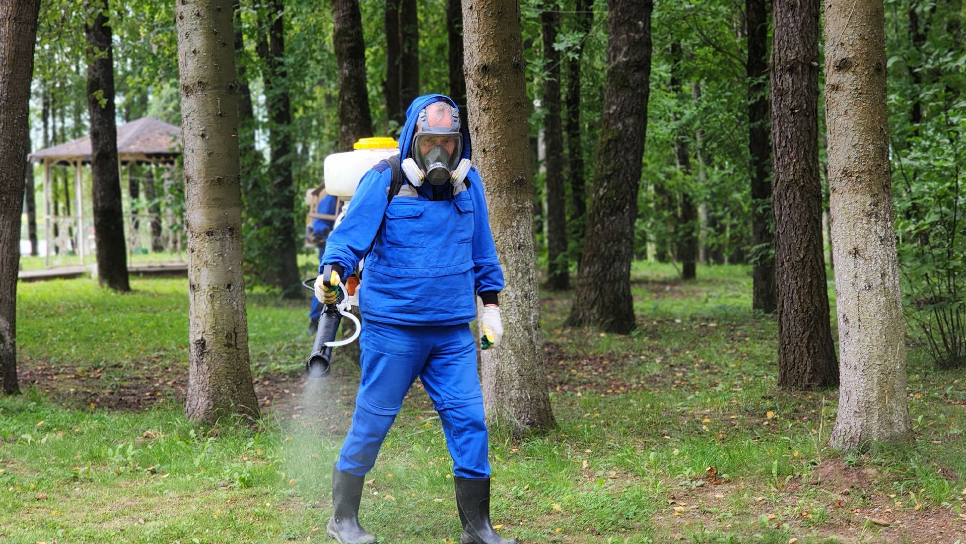 волоколамск, городской парк, акарицидная обработка,