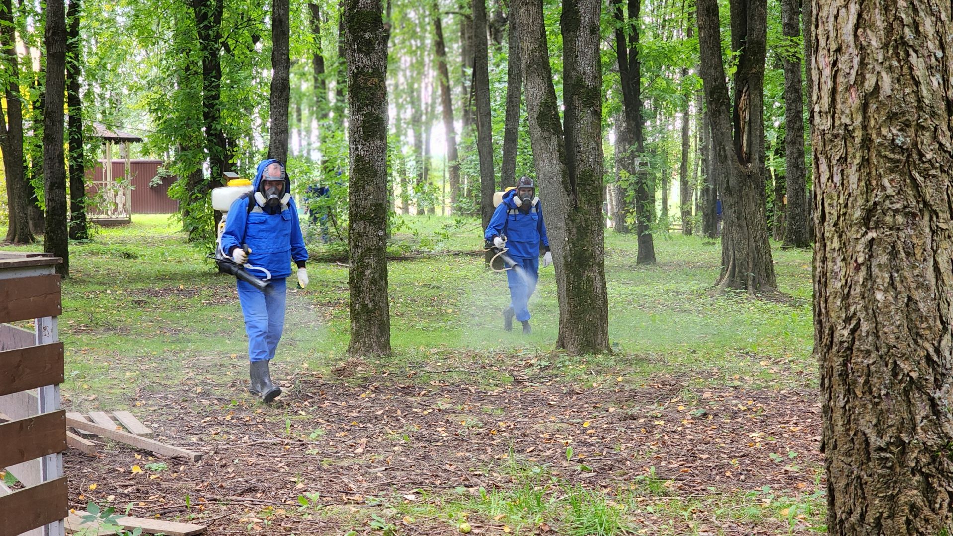 волоколамск, городской парк, акарицидная обработка,
