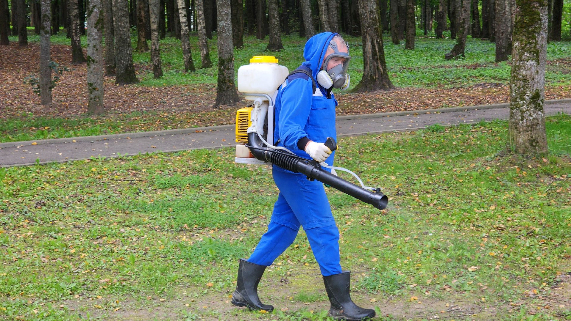 волоколамск, городской парк, акарицидная обработка,