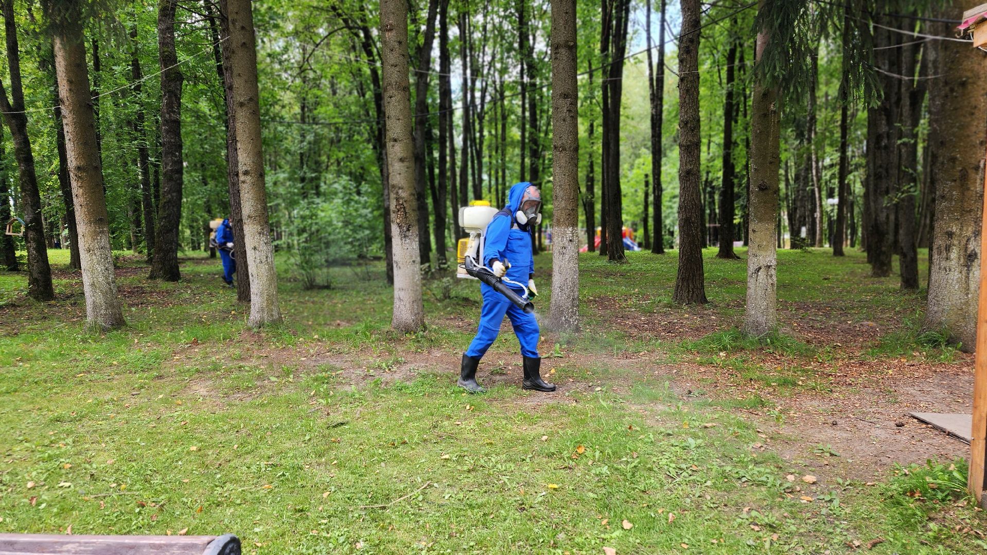 волоколамск, городской парк, акарицидная обработка,
