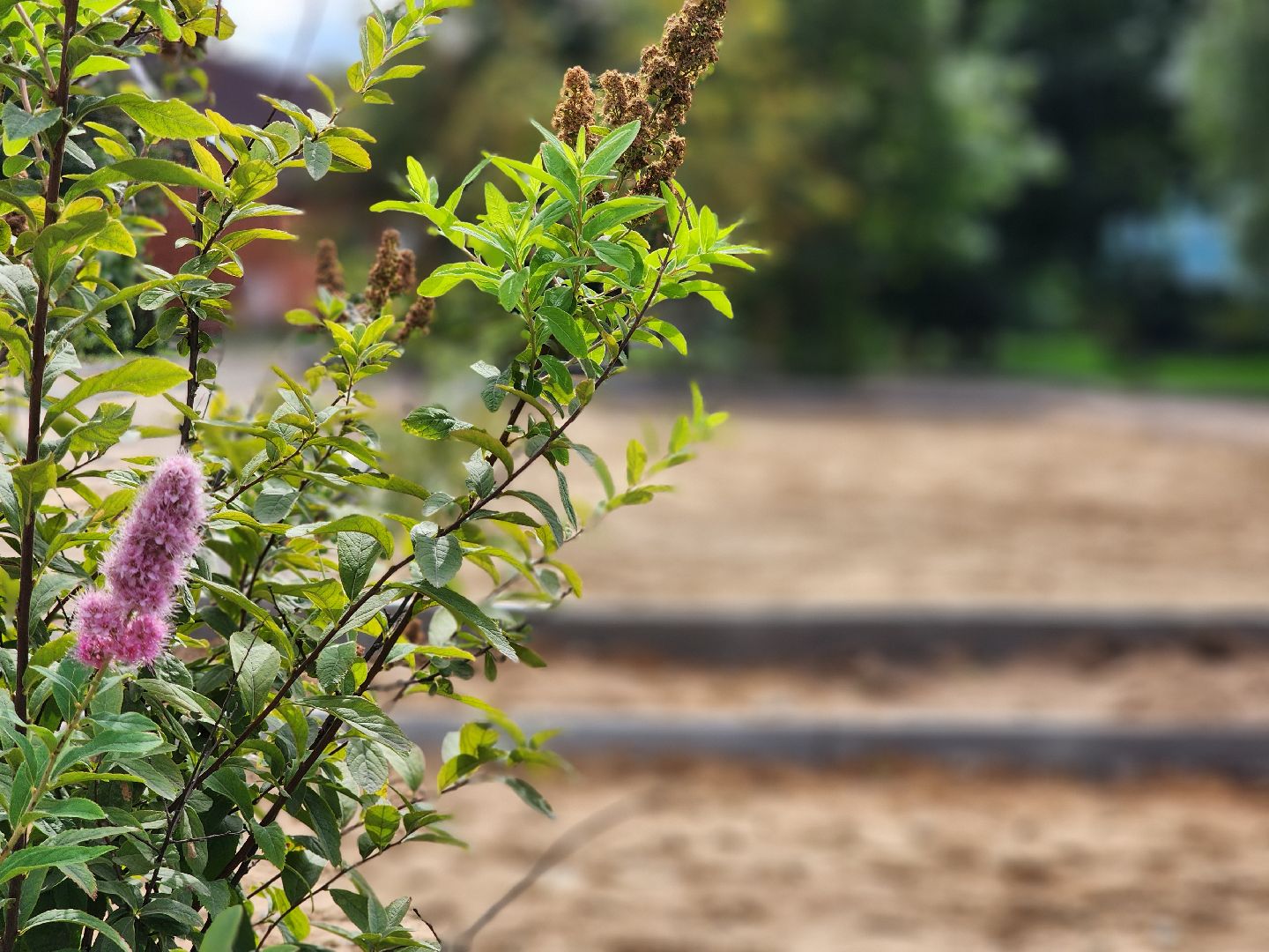 благоустройство, комплексное благоустройство дворов, комортная городская среда, старая купавна, богородский городской округ,