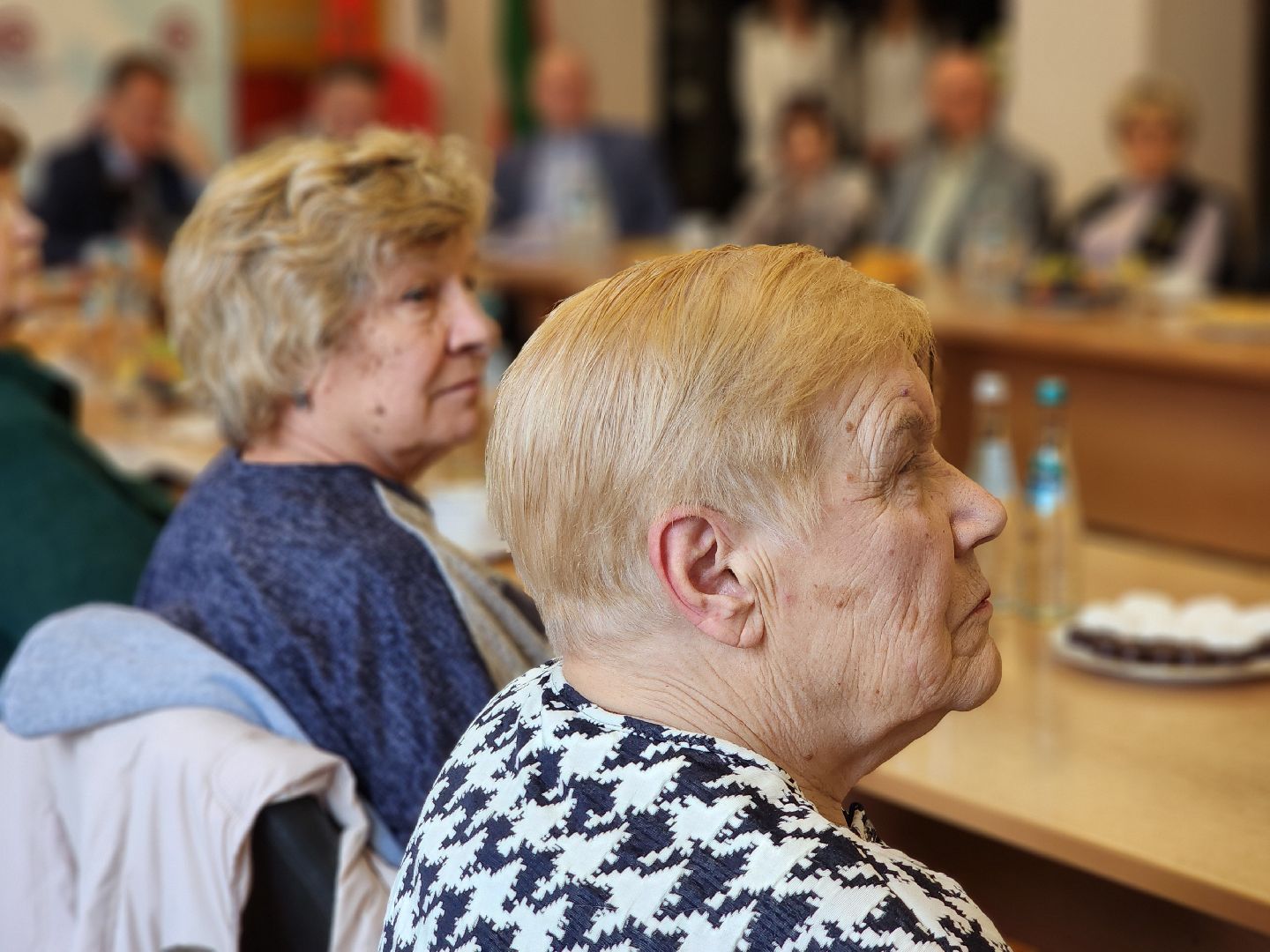 ветераны, глава округа, встреча с главой, ногинск, богородский городской округ,