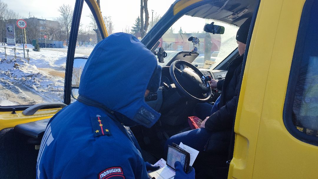 Кашира, общество