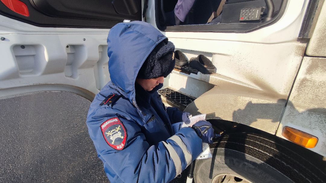 Кашира, общество