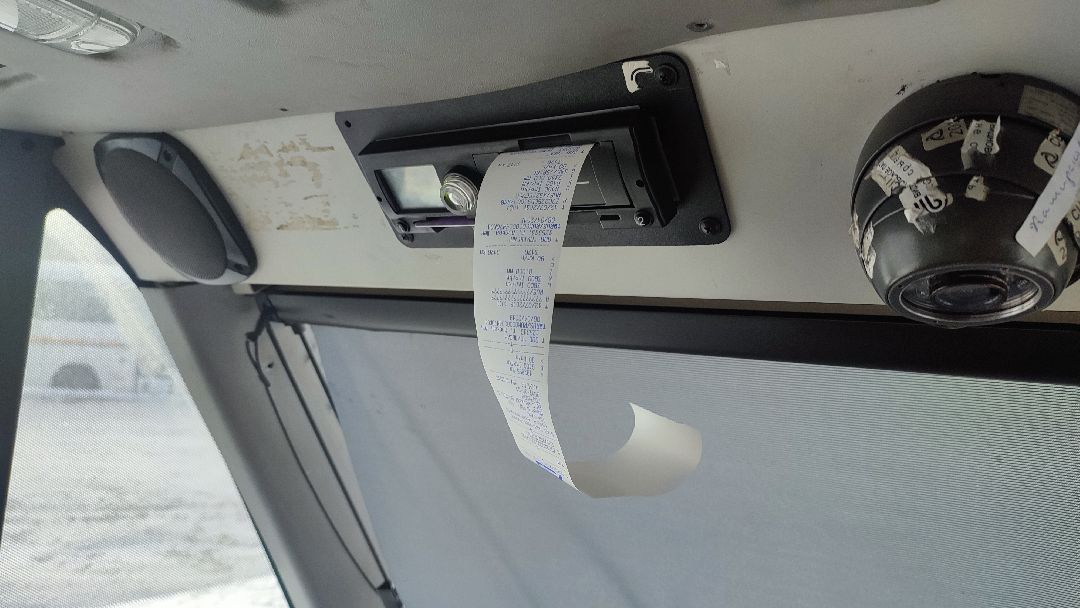 Кашира, общество