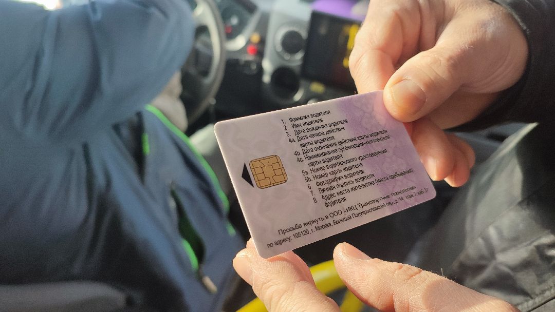 Кашира, общество