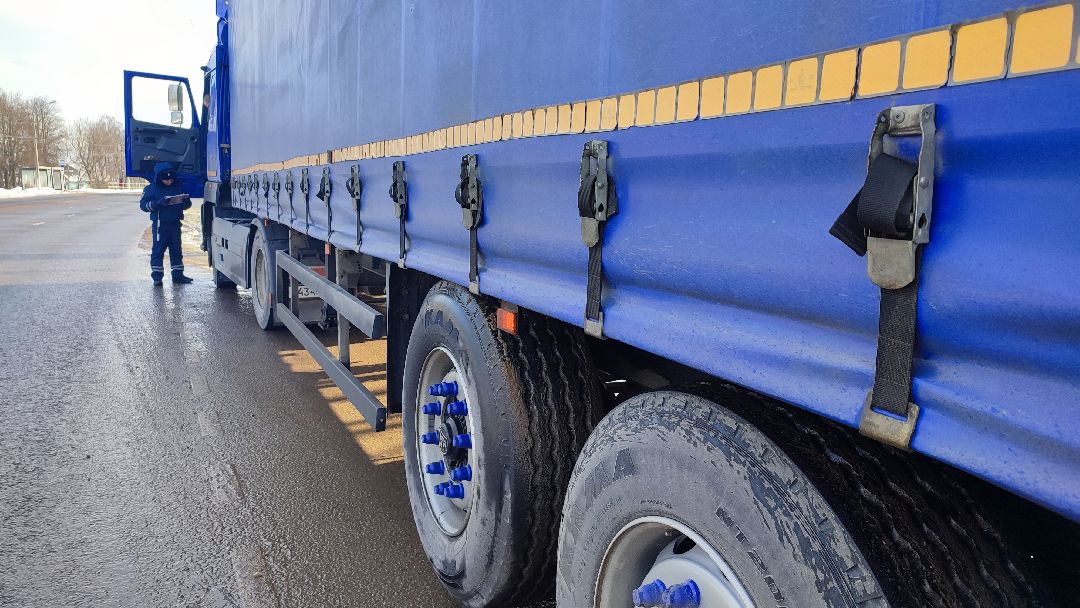 Кашира, общество