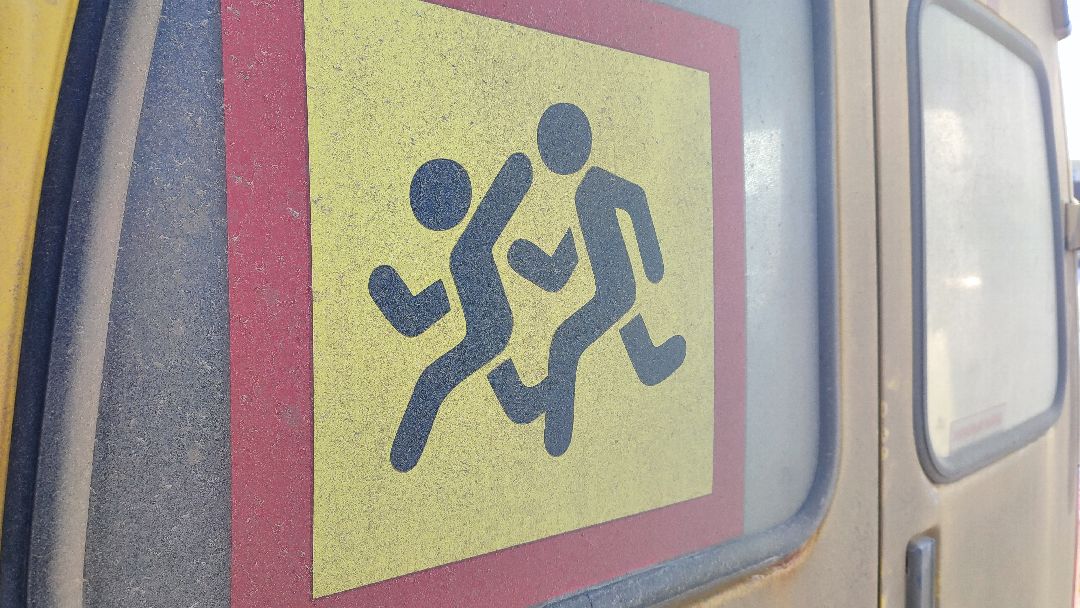 Кашира, общество