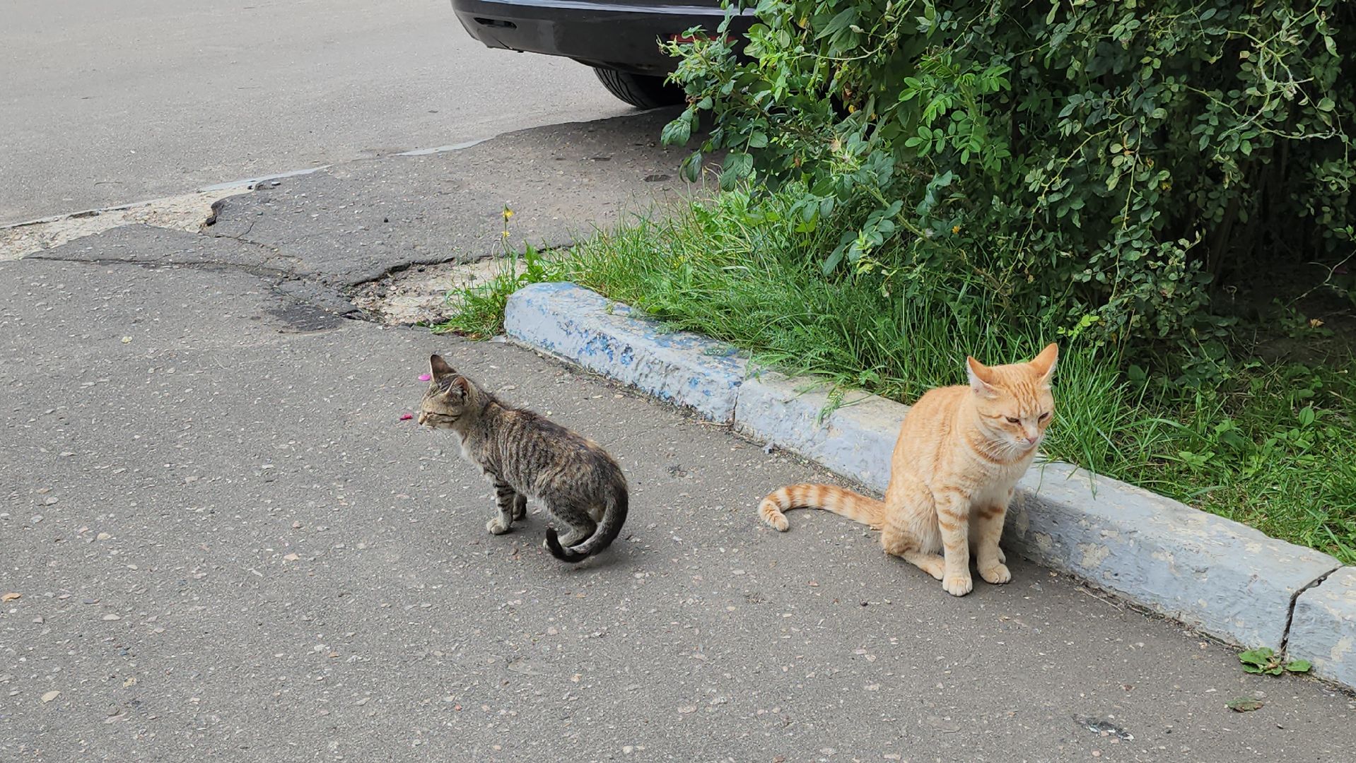 кашира, благоустройство, детская площадка,  игровой комплекс, спортивная площадка, качели,
