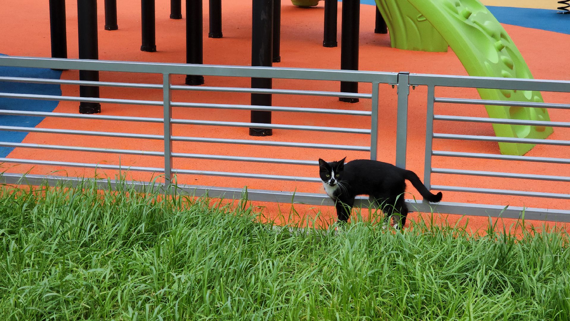 кашира, благоустройство, детская площадка,  игровой комплекс, спортивная площадка, качели,