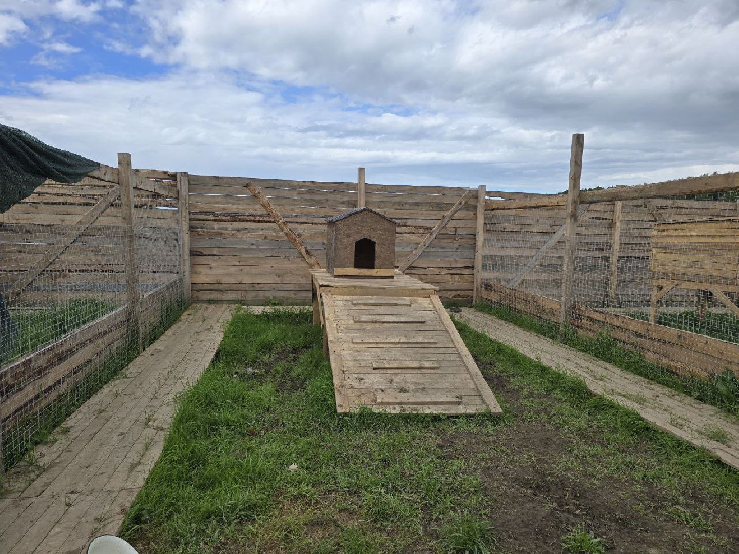 можайск, можайский муниципальный округ, подмосковье,  можайский приют бездомных животных, собаки, общество, помощь приюту,