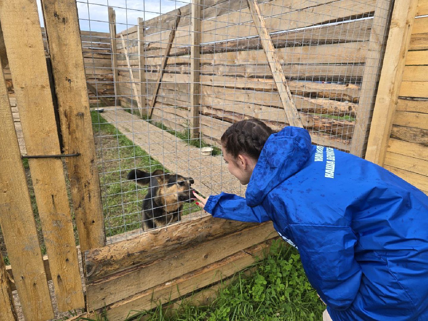 можайск, можайский муниципальный округ, подмосковье,  можайский приют бездомных животных, собаки, общество, помощь приюту,