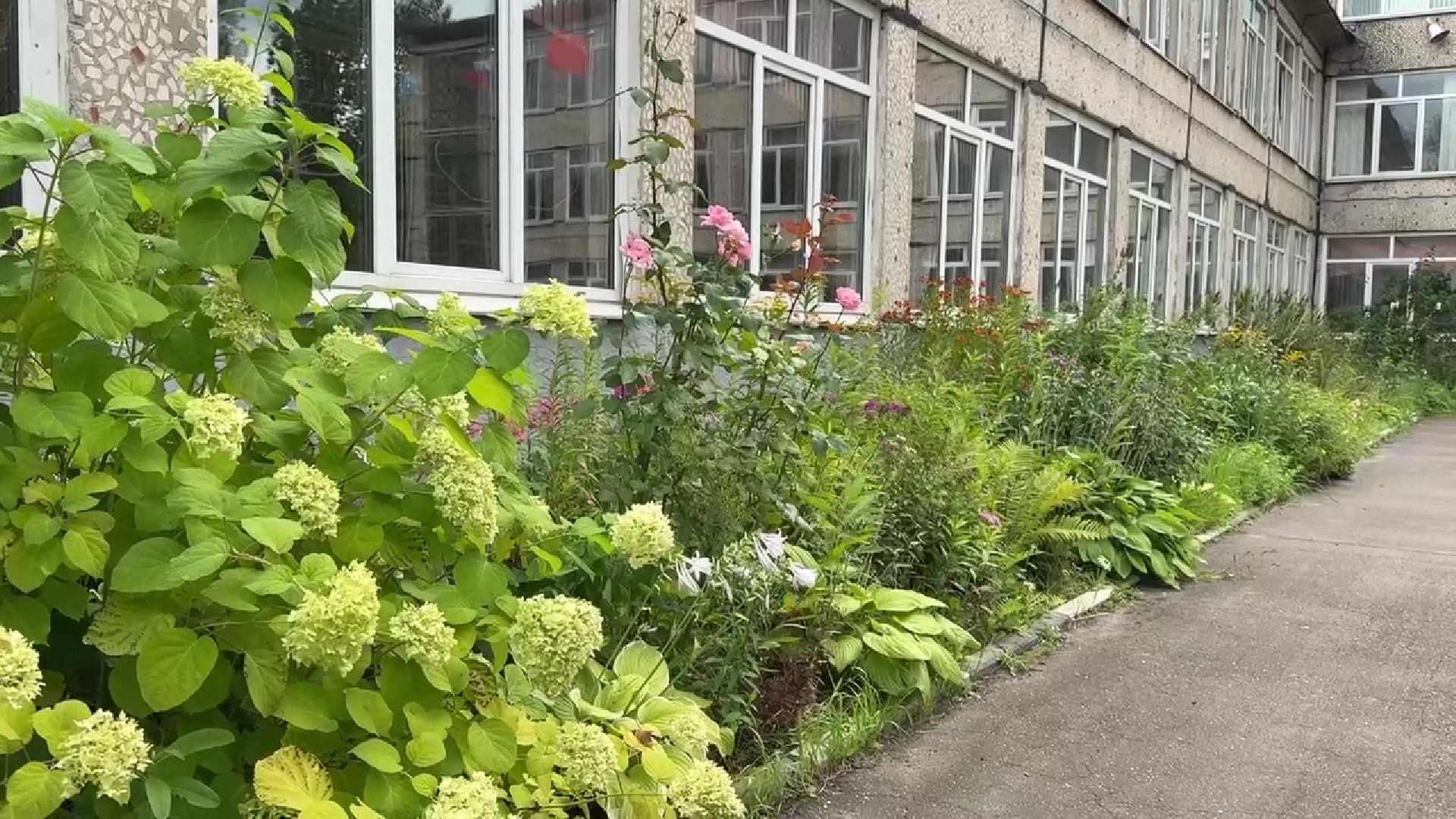 Реутов, образование, школа, день знание, ремонт, учебники, спортзал,