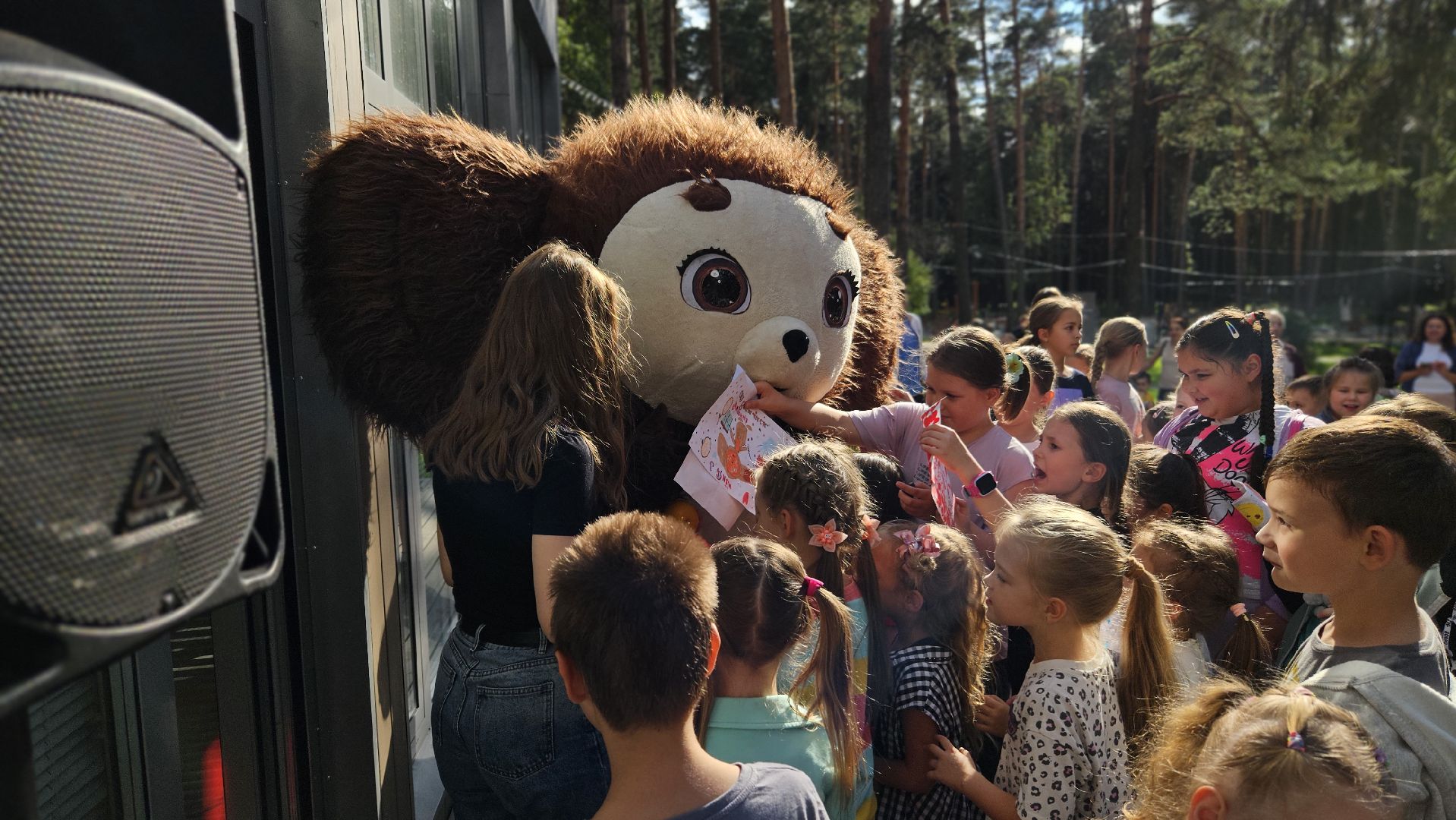 праздник в парке,  чебурашка, жуковский,