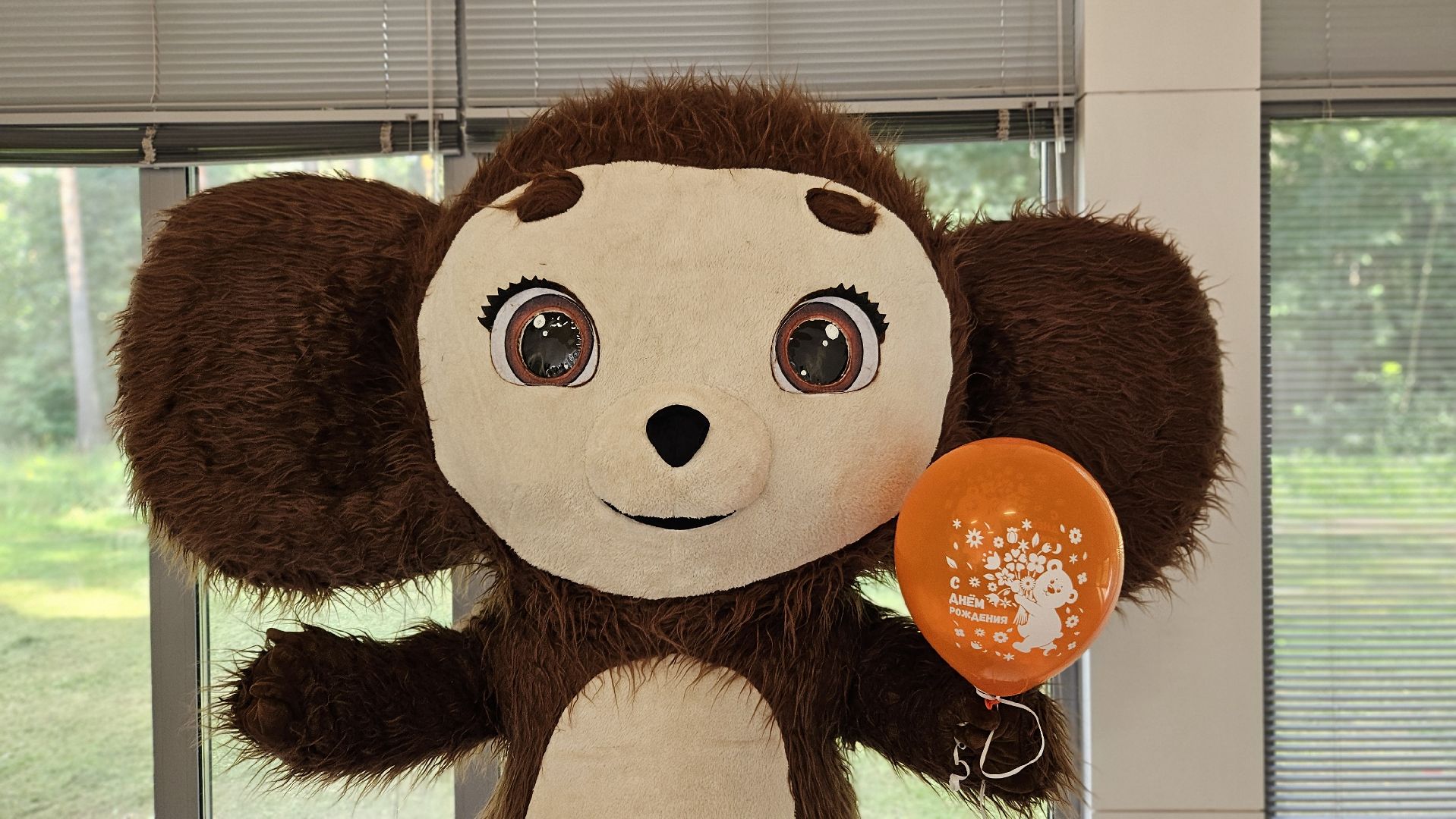 праздник в парке,  чебурашка, жуковский,