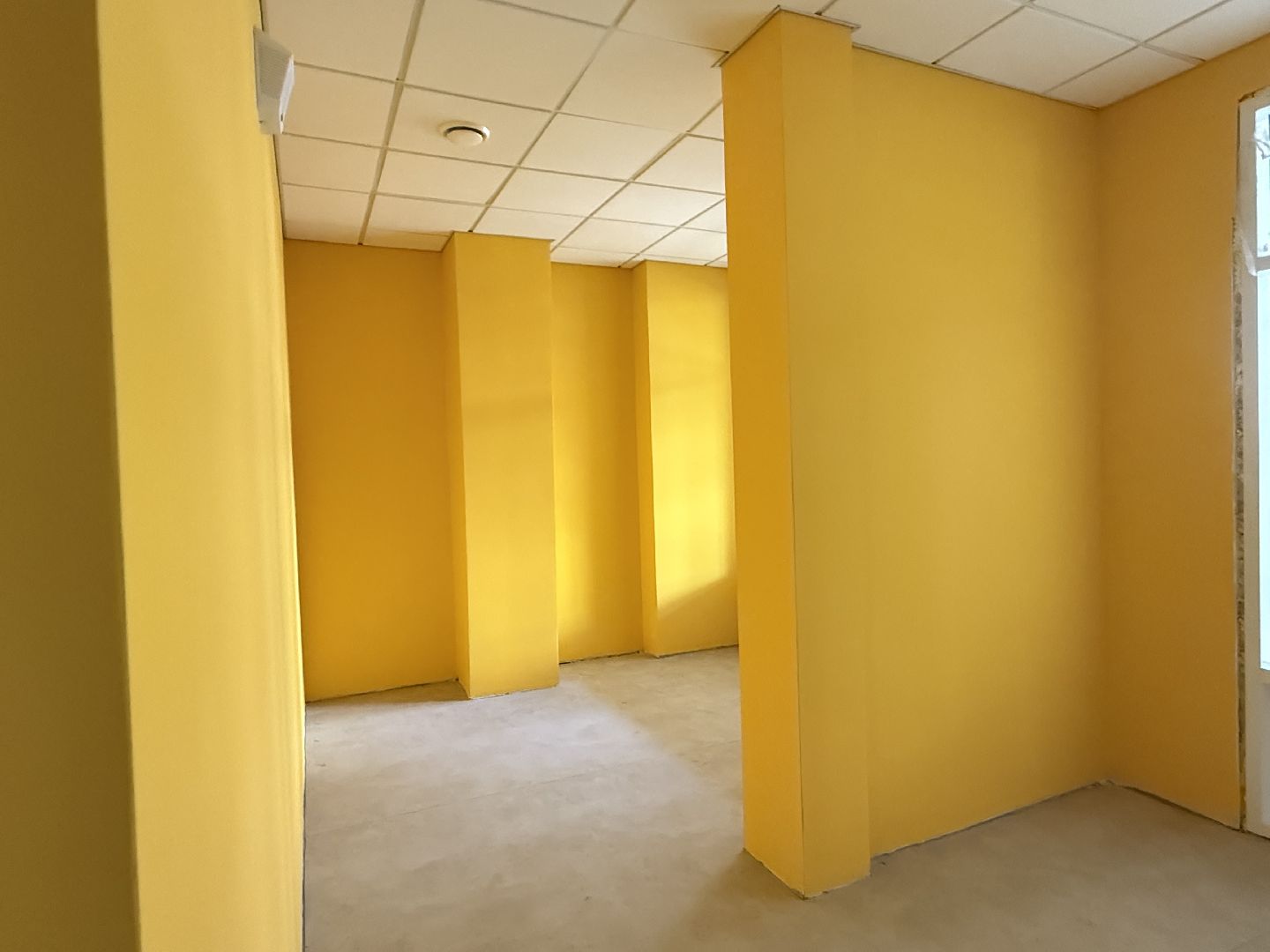 люберцы, школа, благоуйстройство, 1 сентября,