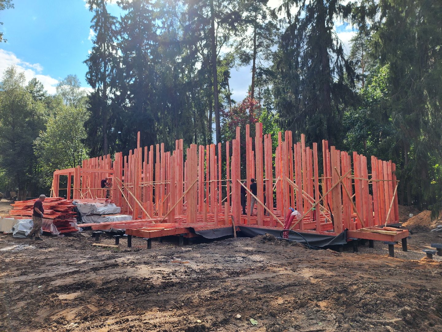 королёв, благоустройство в королеве, папанинская дача,