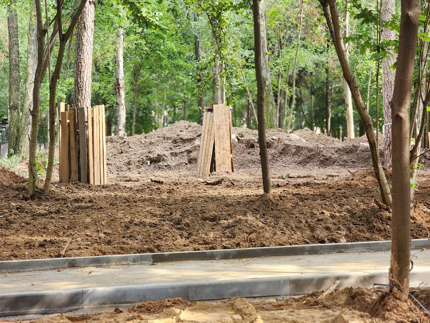 королёв, благоустройство в королеве, папанинская дача,