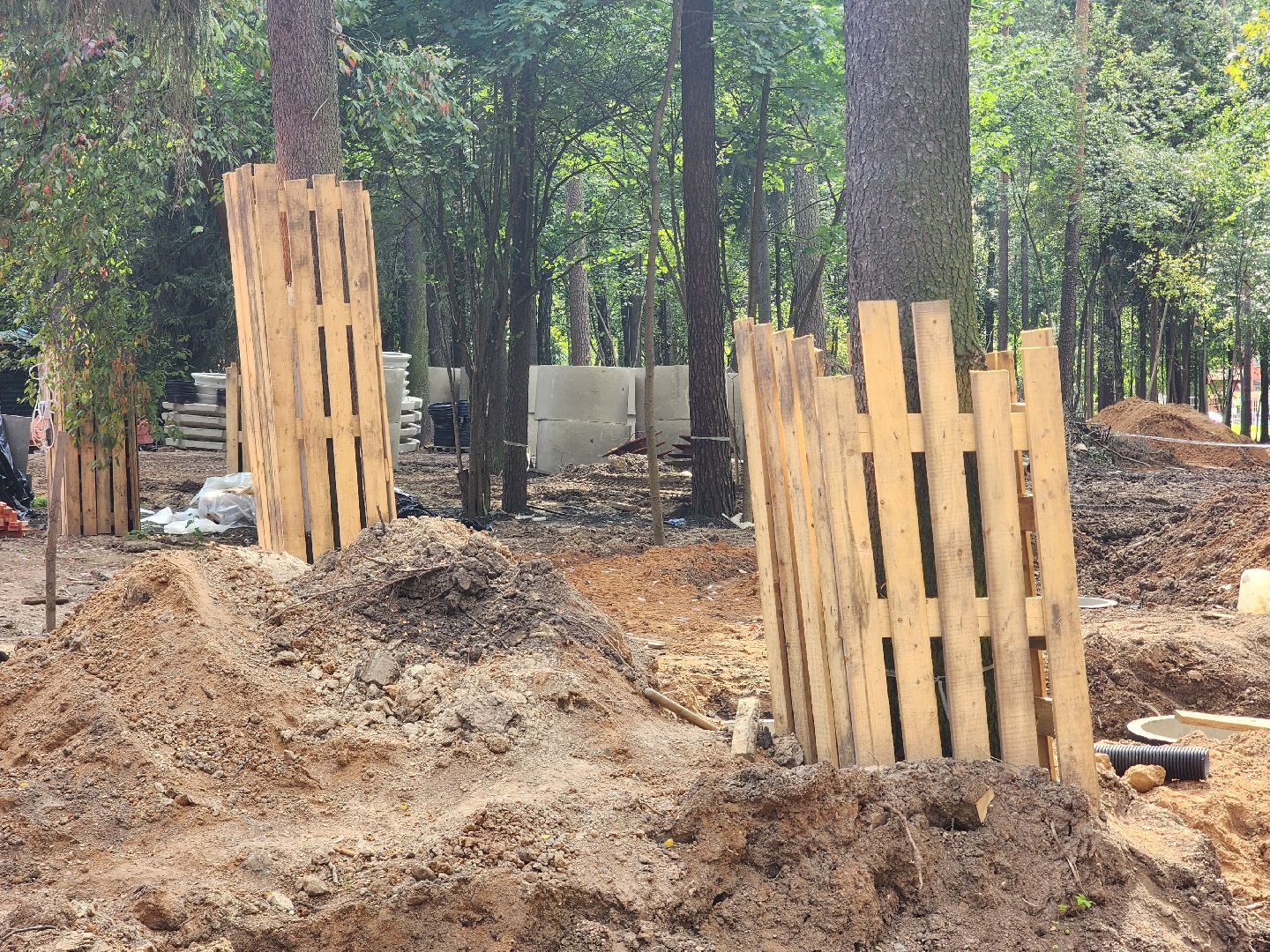 королёв, благоустройство в королеве, папанинская дача,