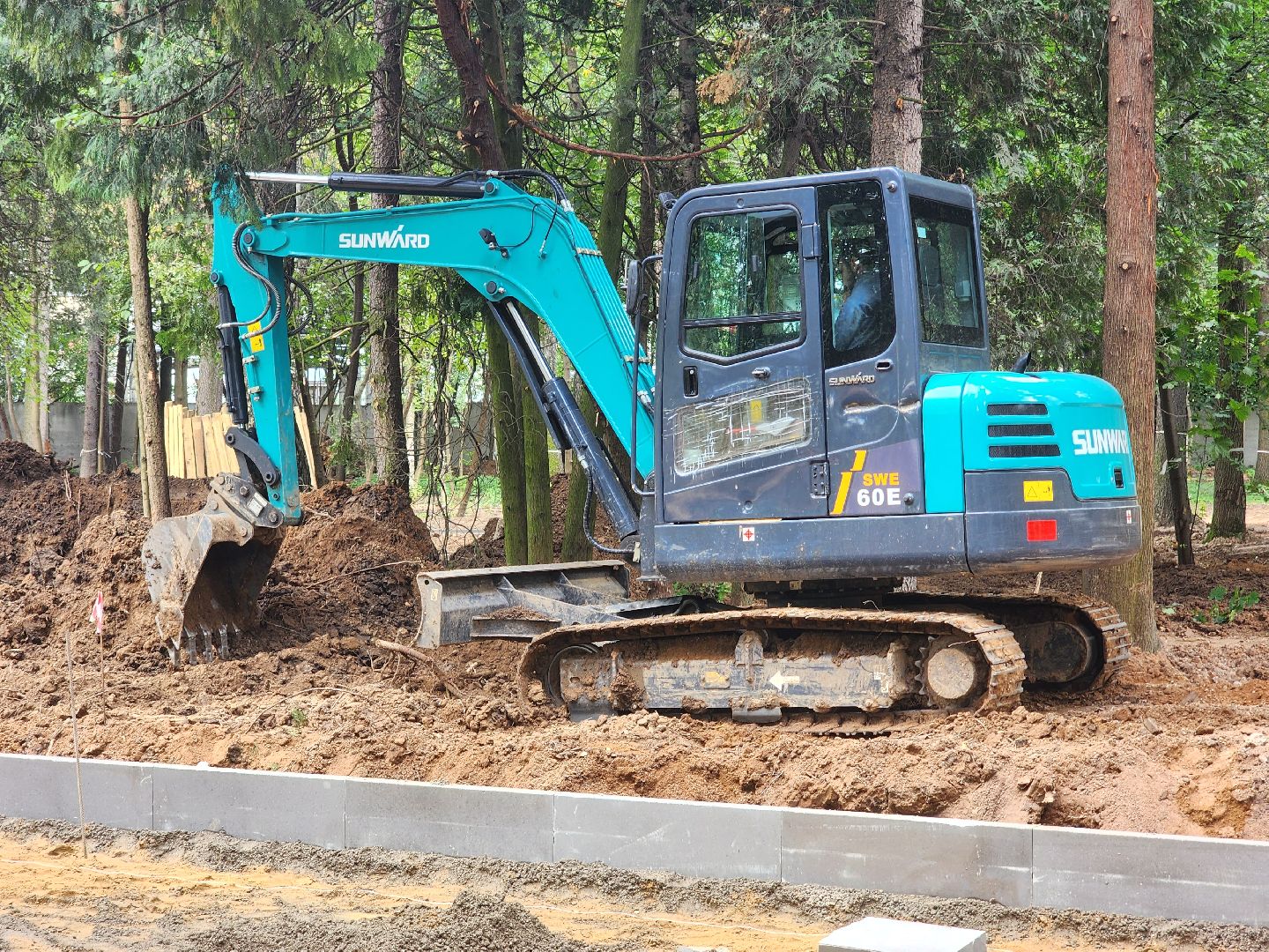 королёв, благоустройство в королеве, папанинская дача,