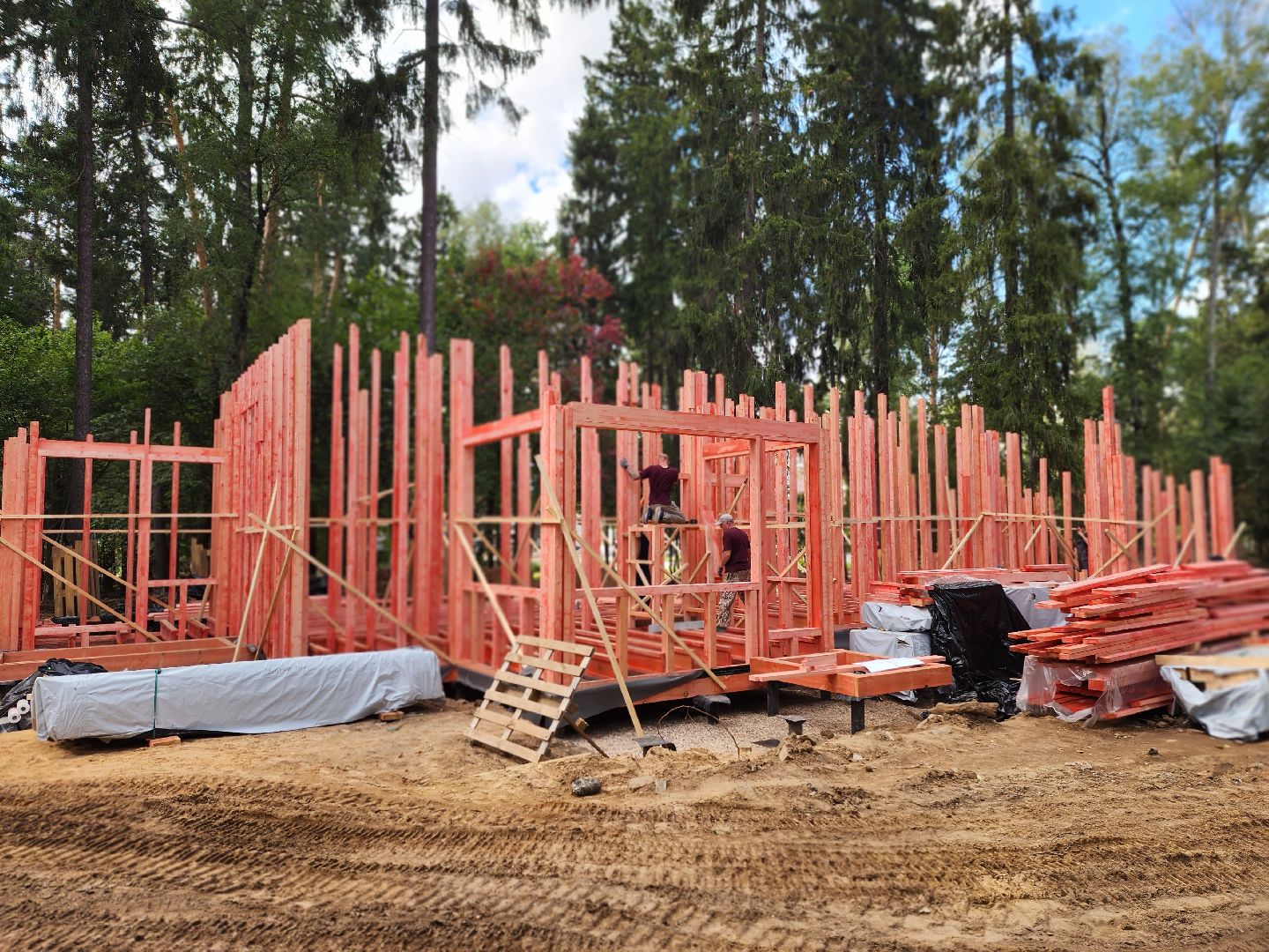 королёв, благоустройство в королеве, папанинская дача,