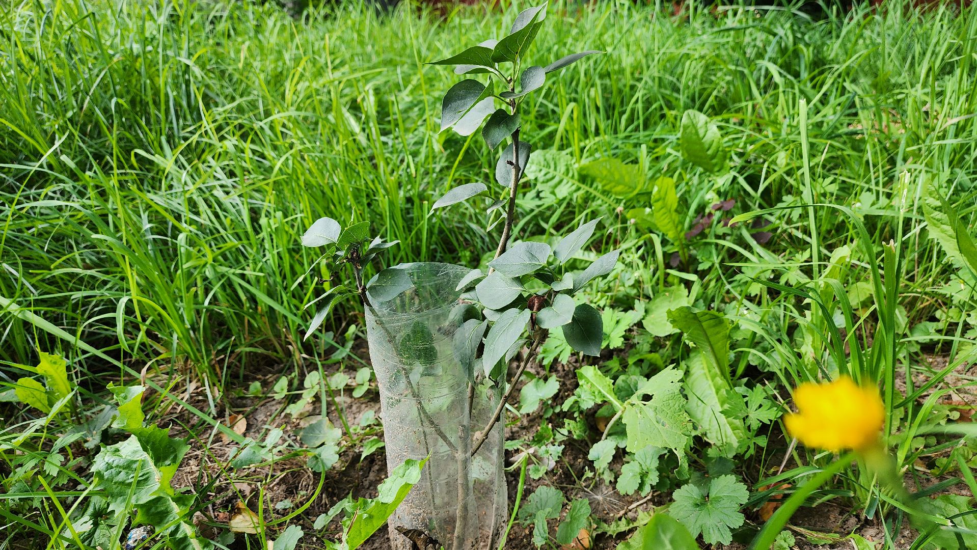 луховицы, комплексное благоустройство двора, комфортная городская среда,