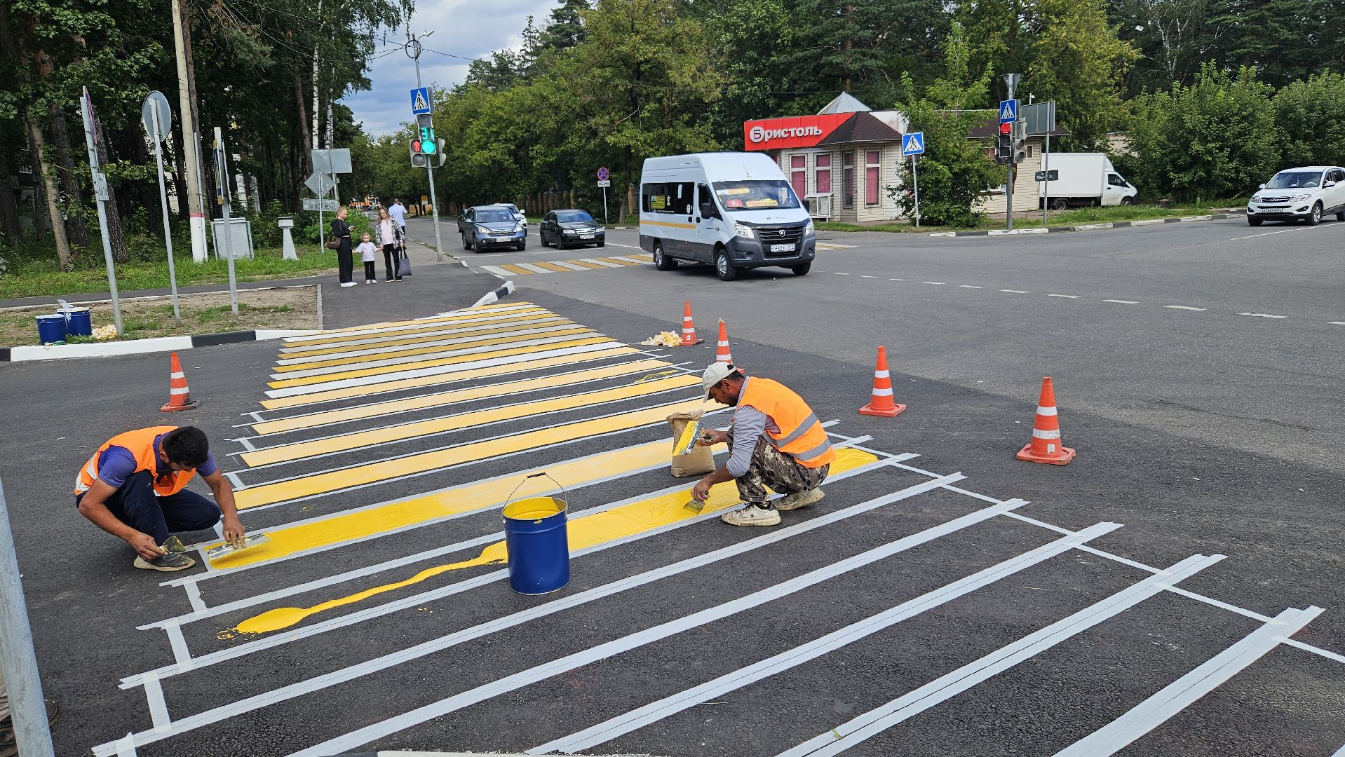зебра, дорога, жуковский,
