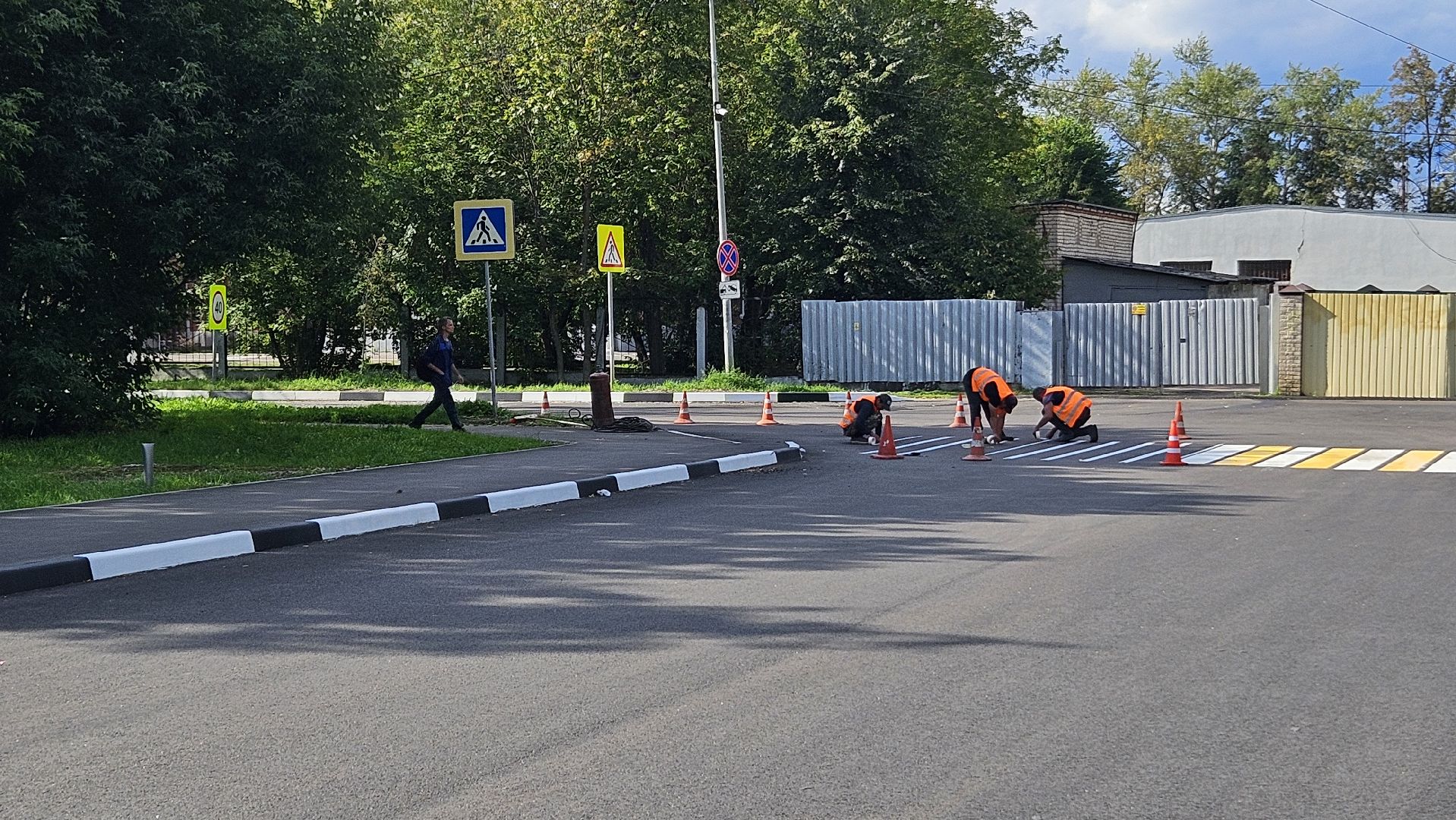 зебра, дорога, жуковский,