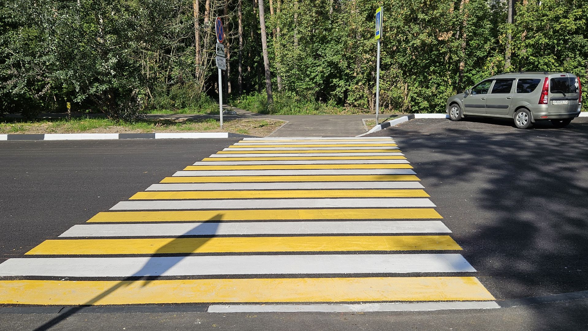 зебра, дорога, жуковский,