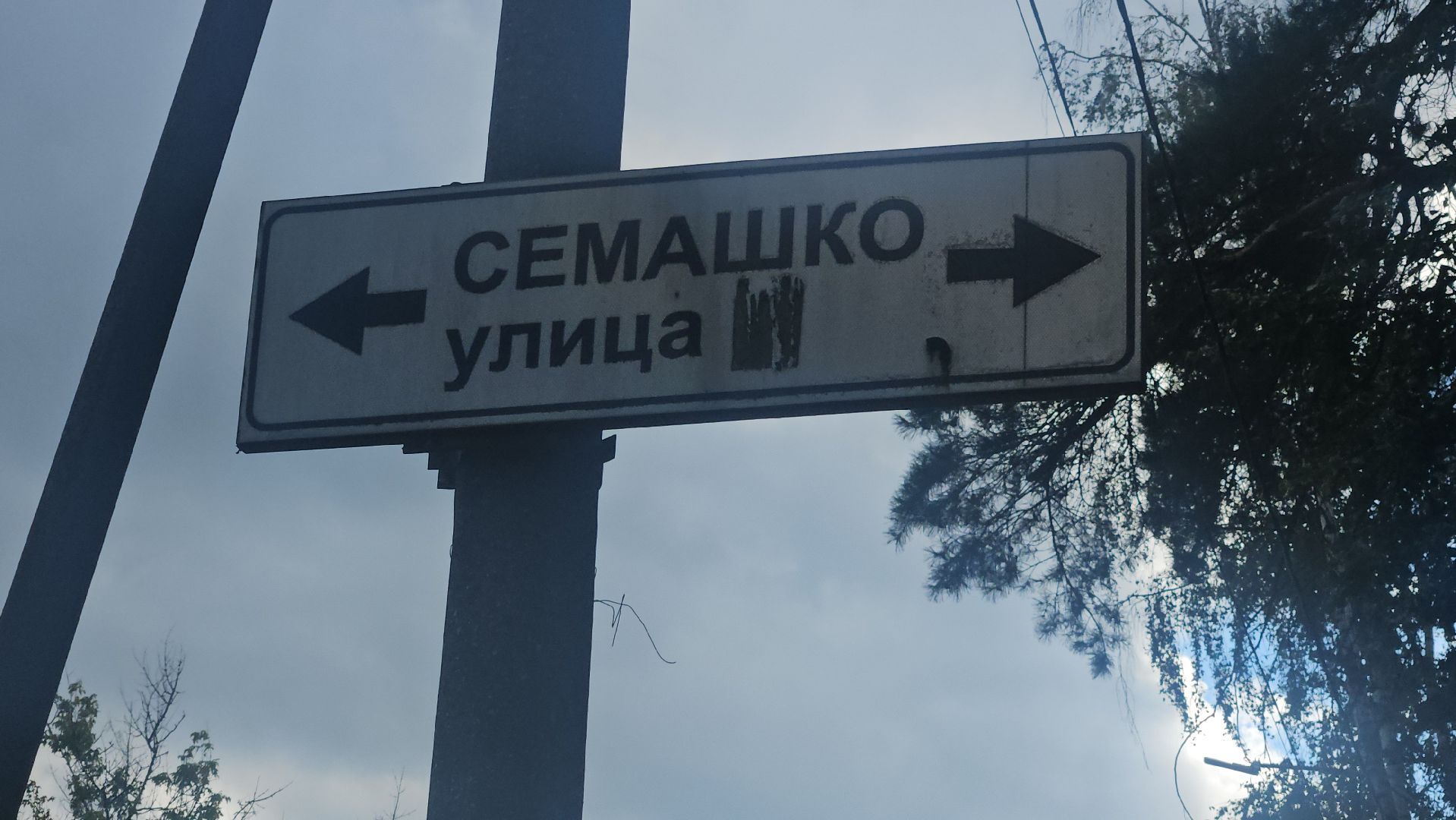 зебра, дорога, жуковский,