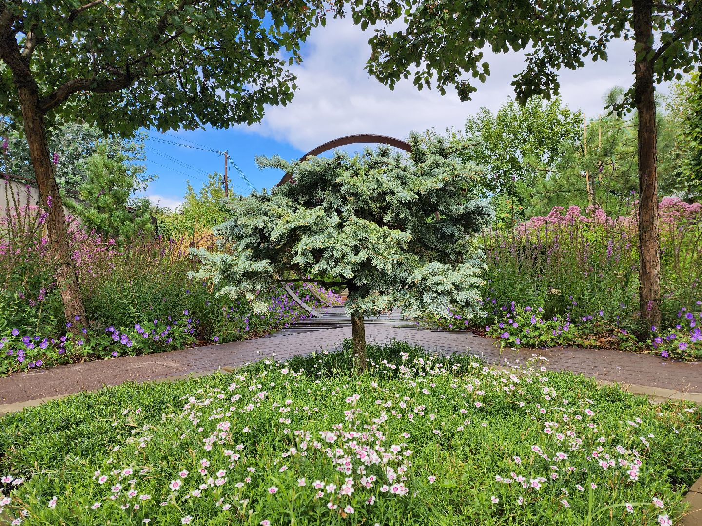 люберцы, сельское хозяйство, питомник агрофирмы поиск,