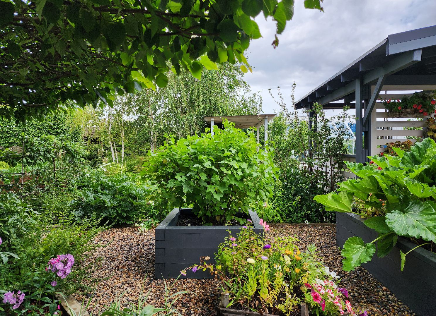 люберцы, сельское хозяйство, питомник агрофирмы поиск,