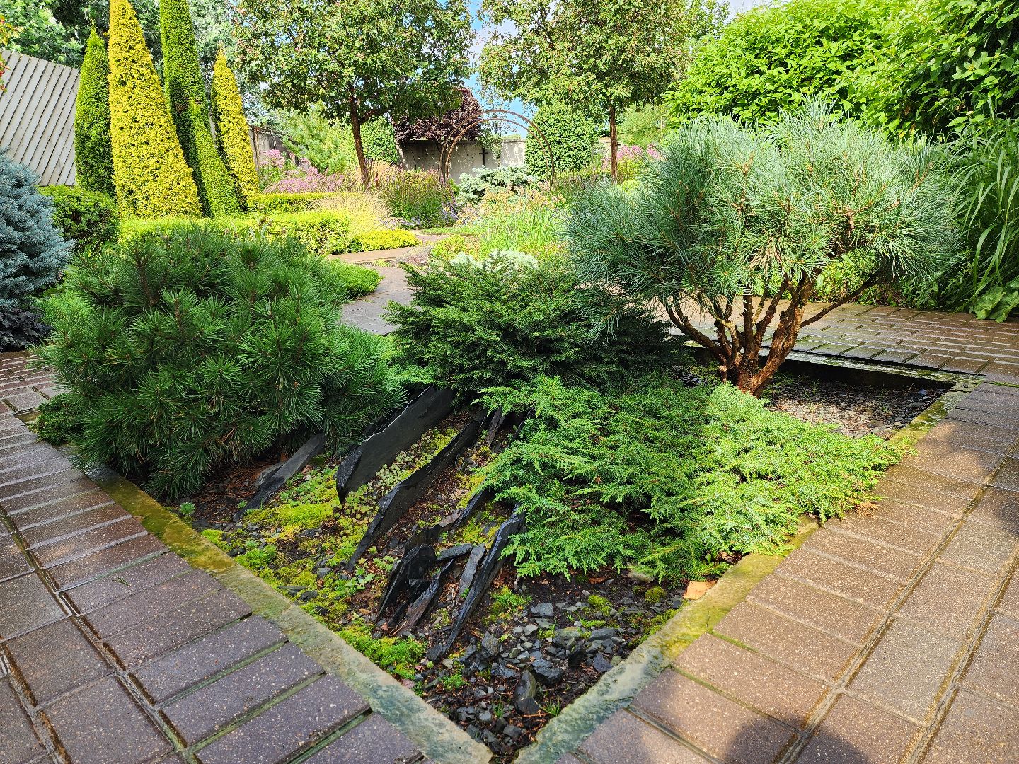 люберцы, сельское хозяйство, питомник агрофирмы поиск,