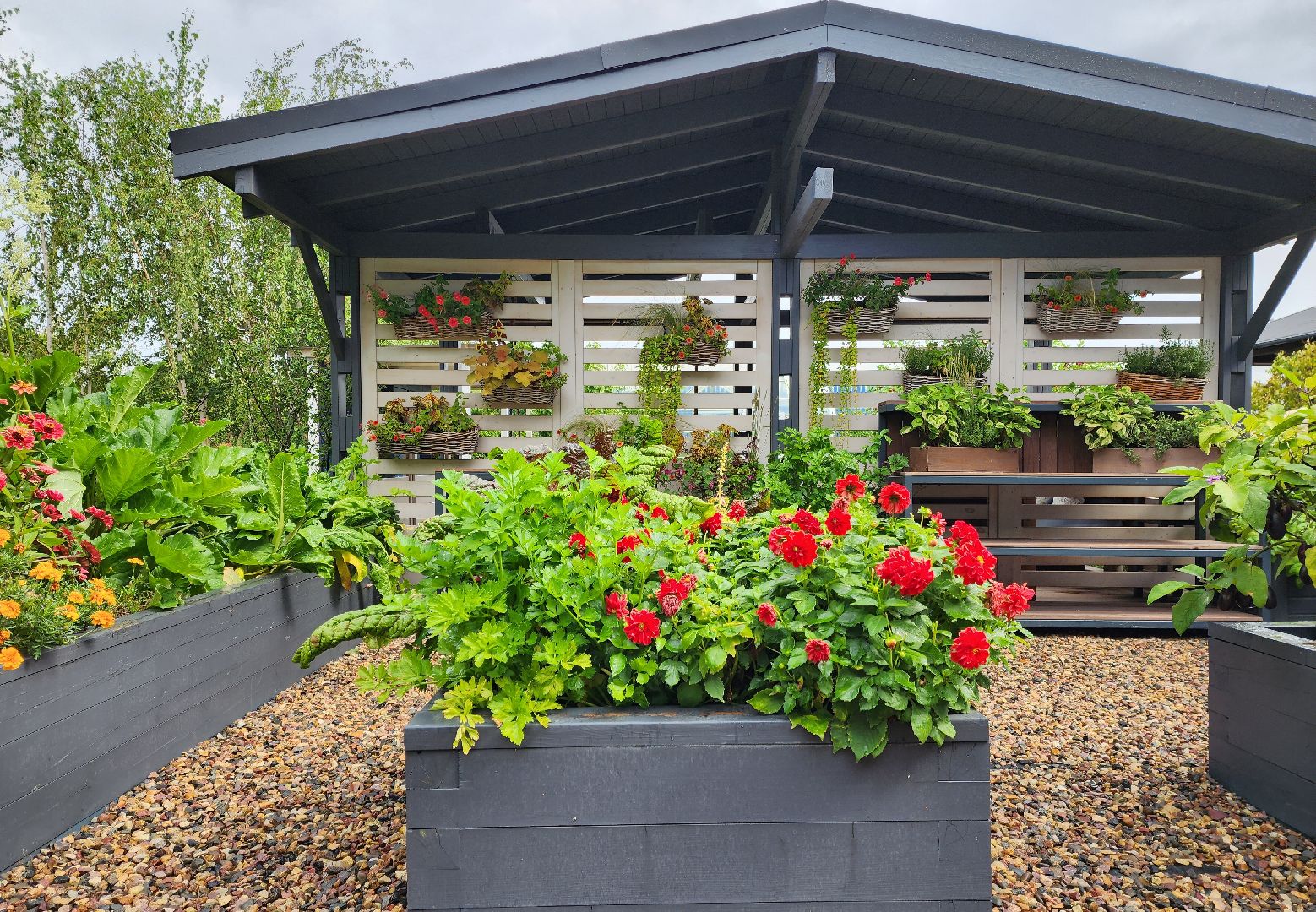 люберцы, сельское хозяйство, питомник агрофирмы поиск,