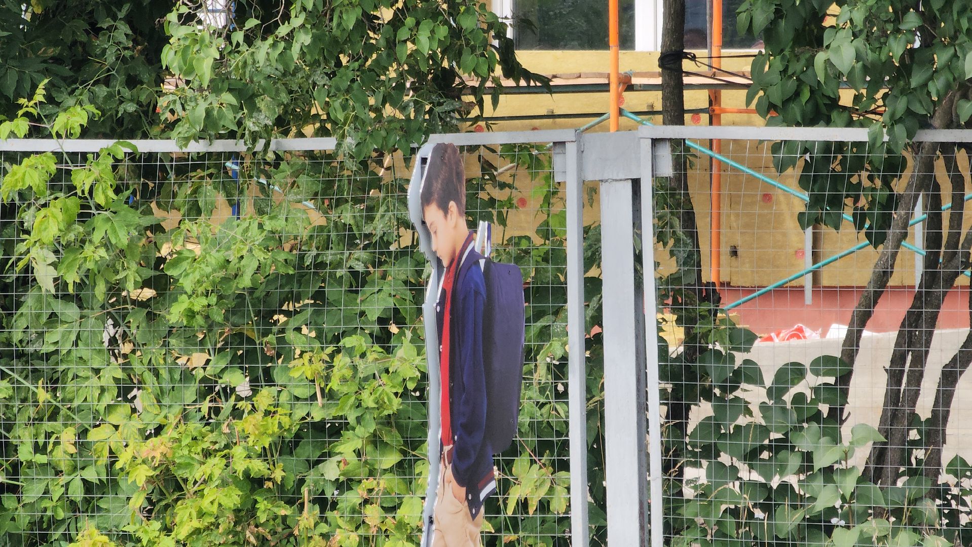 электрогорск, дороги, безопасность,