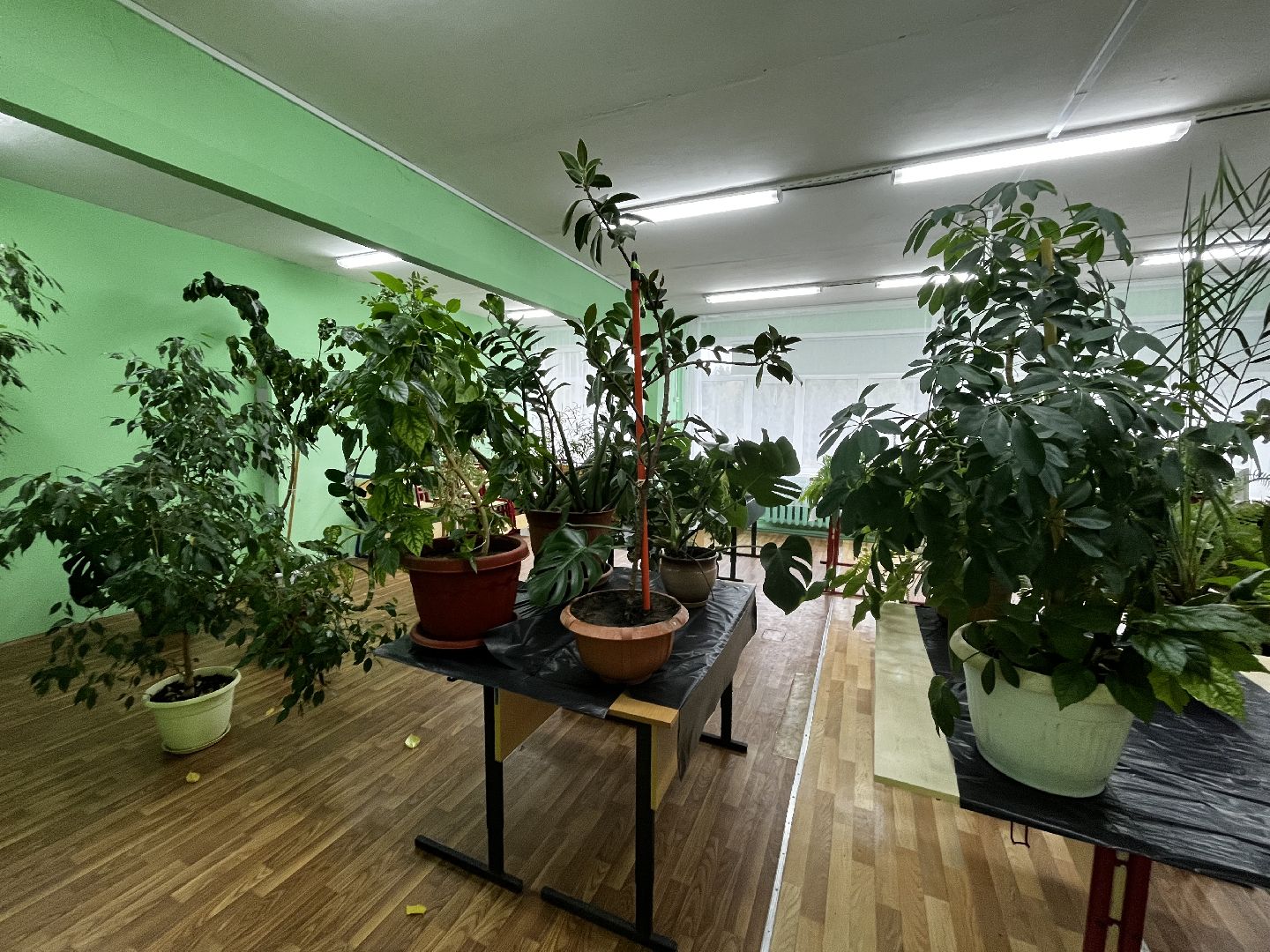 воскресенк,