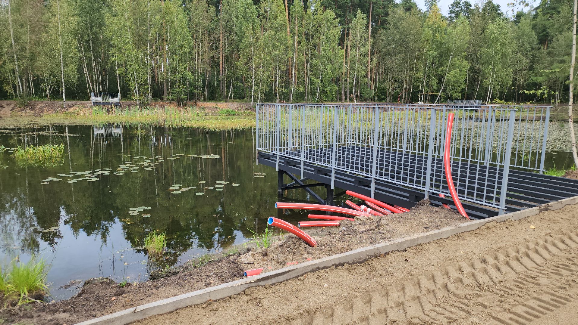 парки в лесу, орехово-зуево, парковский лес,