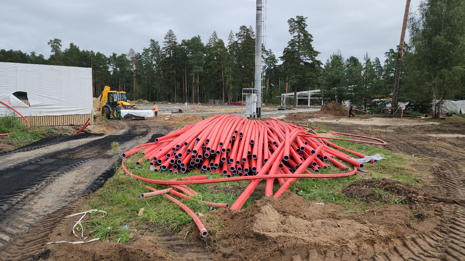 парки в лесу, орехово-зуево, парковский лес,