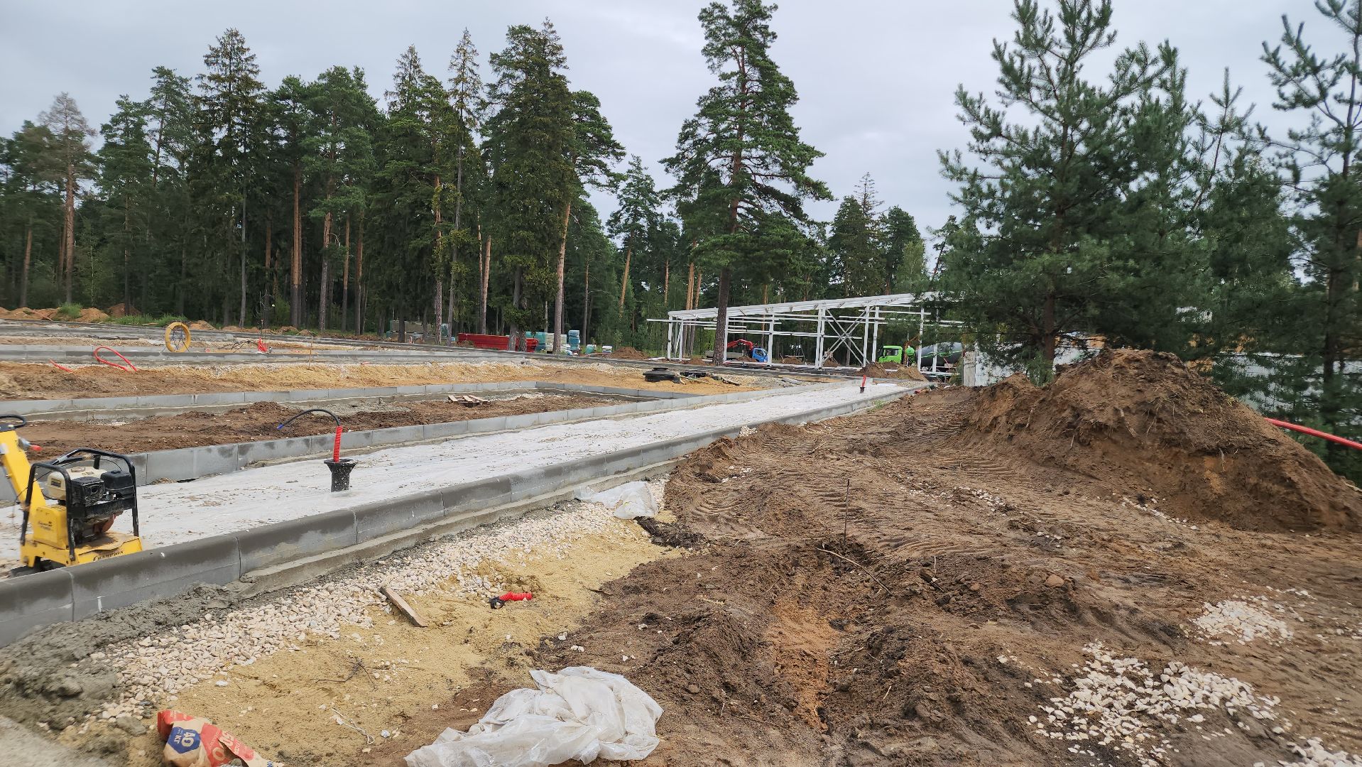 парки в лесу, орехово-зуево, парковский лес,