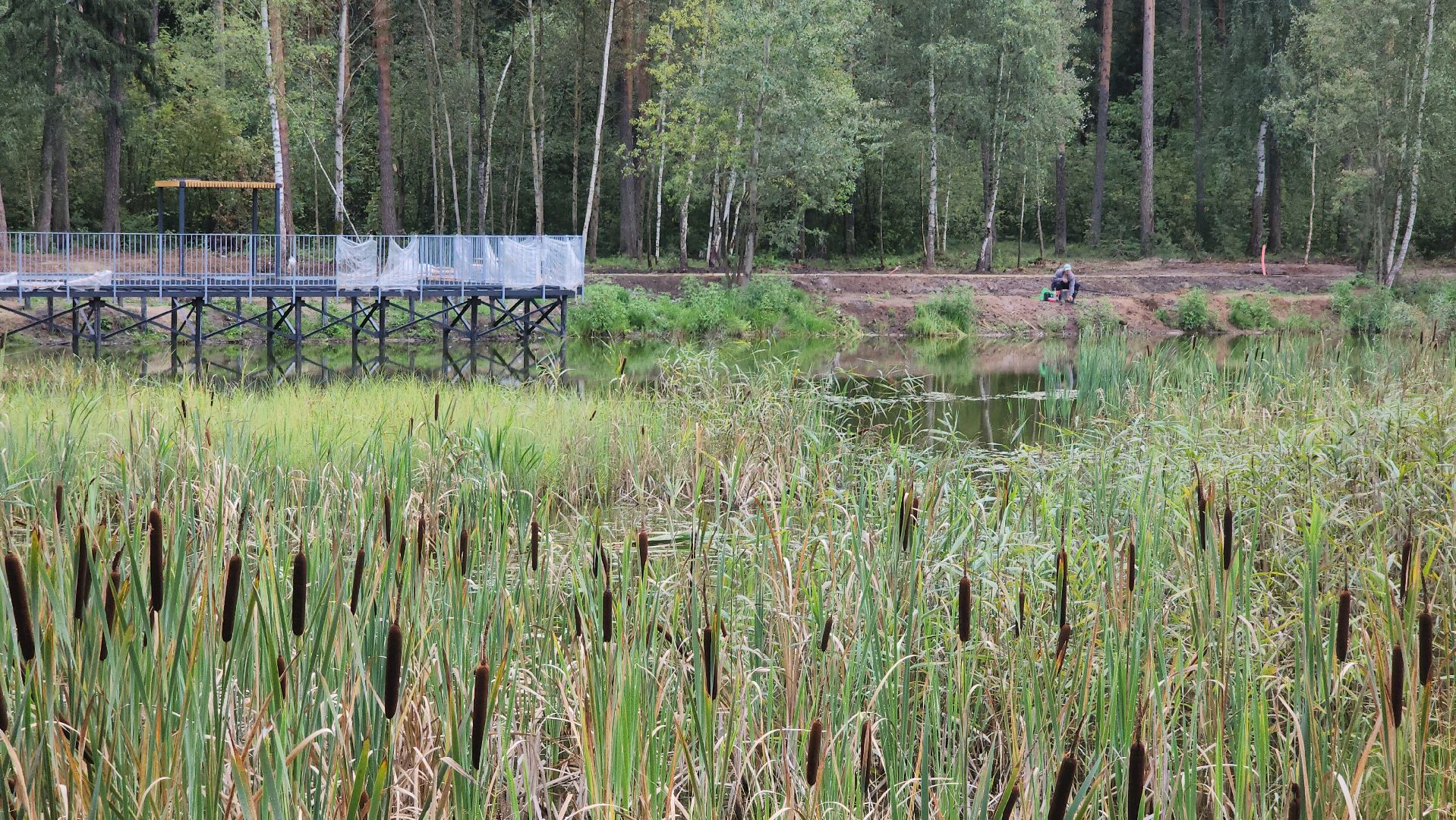 парки в лесу, орехово-зуево, парковский лес,