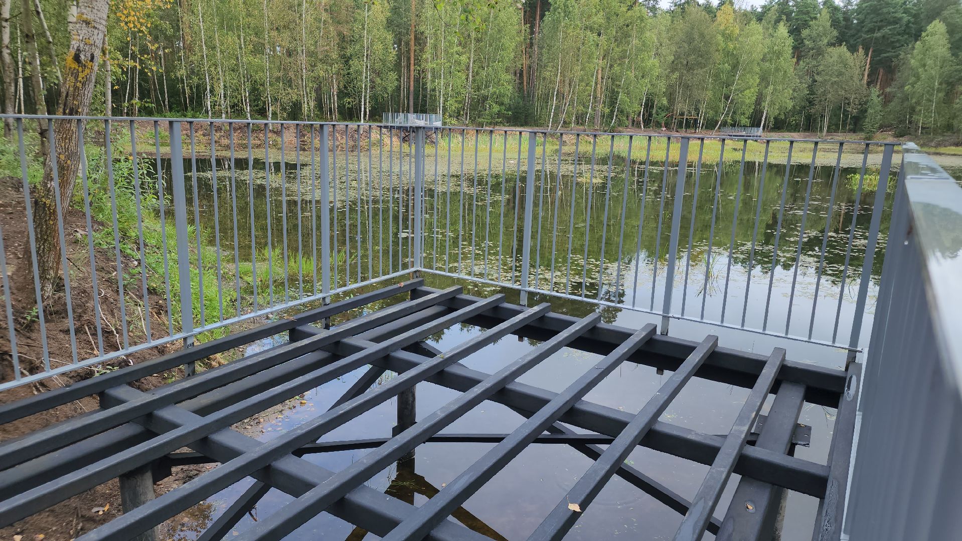 парки в лесу, орехово-зуево, парковский лес,