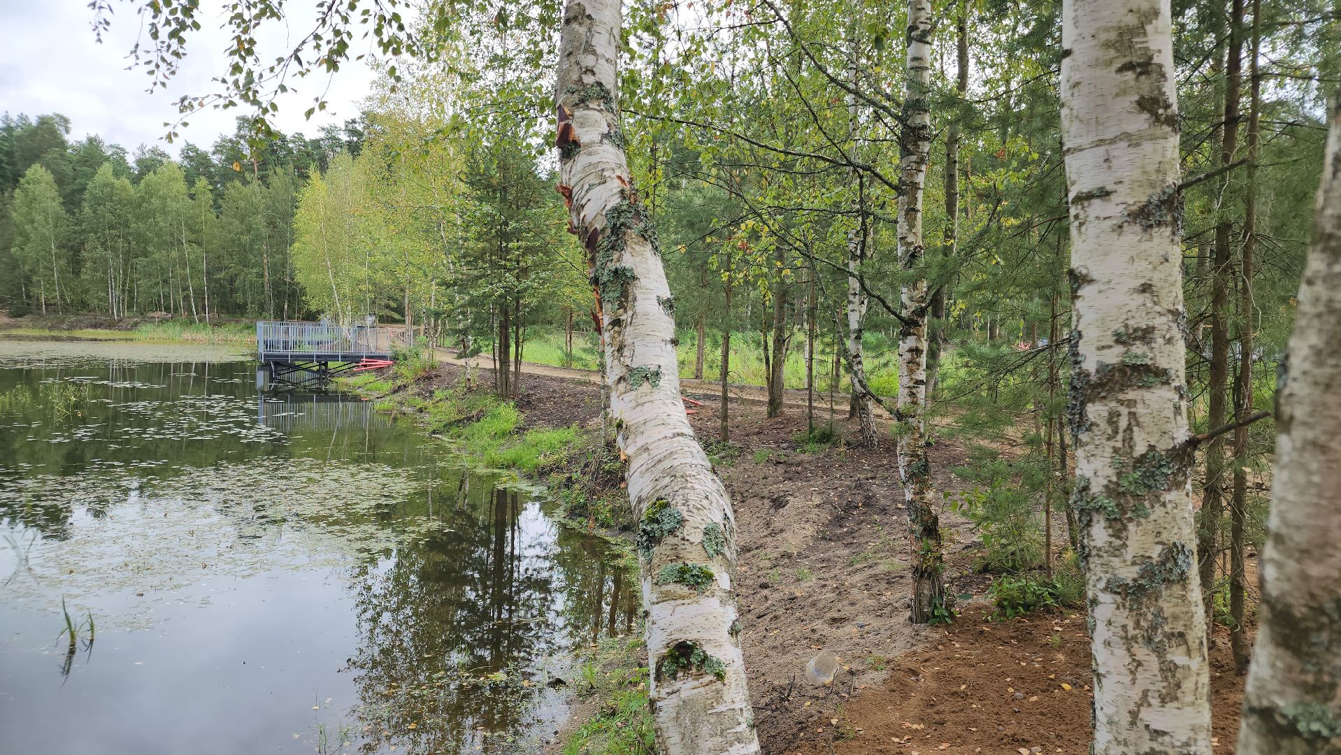 парки в лесу, орехово-зуево, парковский лес,