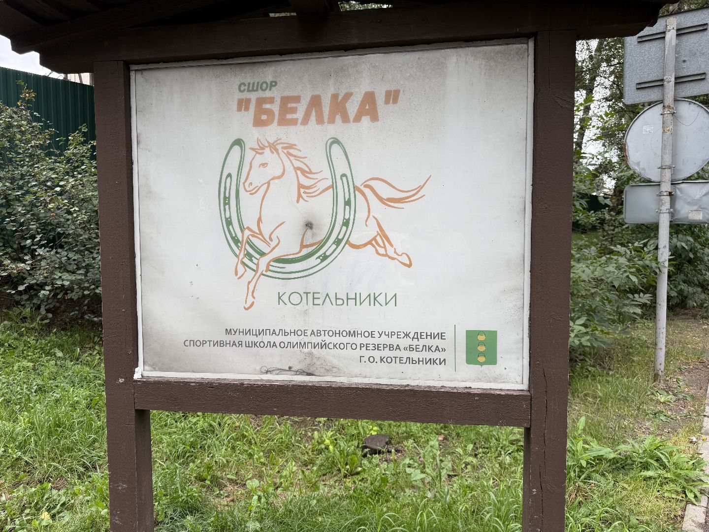 котельники, конный спорт, соревнования, параолимпийцы,