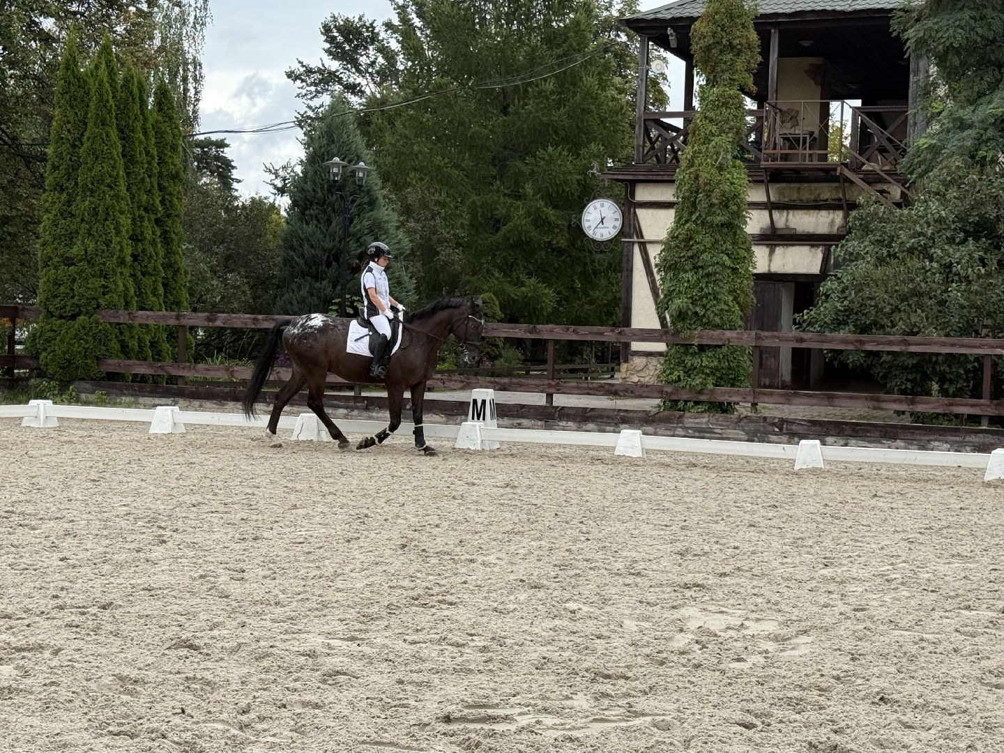 котельники, конный спорт, соревнования, параолимпийцы,