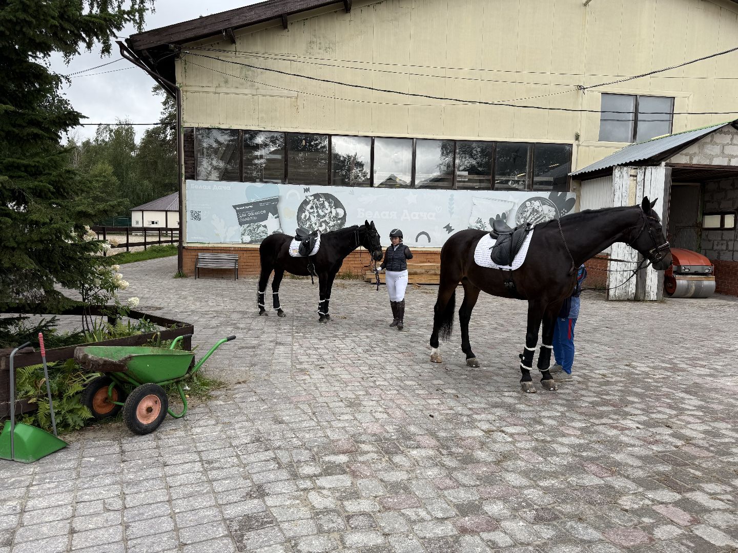 котельники, конный спорт, соревнования, параолимпийцы,