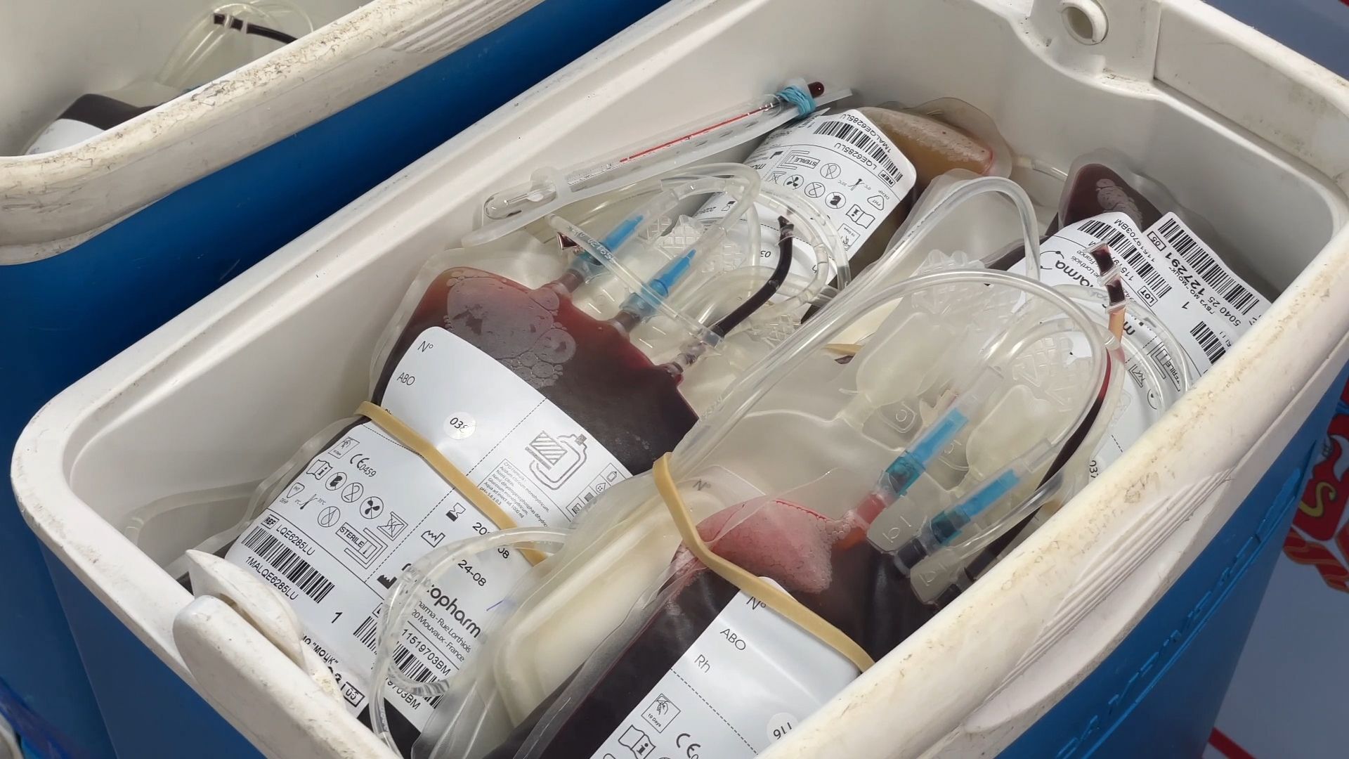 доноры подмосковья, донорская акция, балашиха, стадион орион железнодорожный,